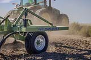 19 Fallow Master Orthman